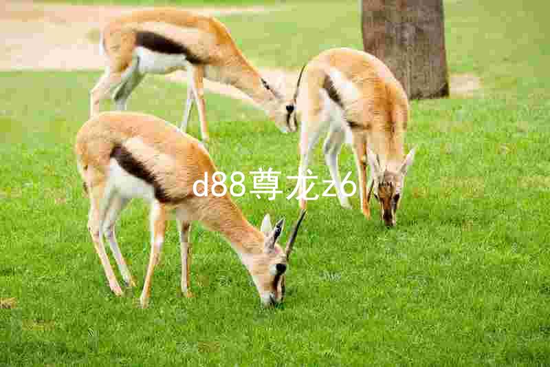 d88尊龙z6