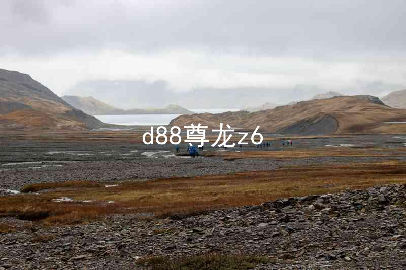 d88尊龙z6